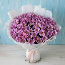 Букет цветов из:  Хризантемы в Видяево