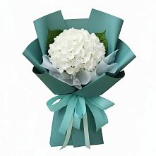 Букет цветов из:  Гортензия в Видяево